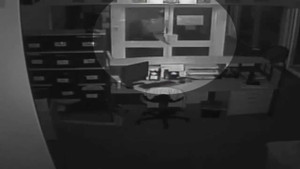 4 thanh niên cởi trần thả 3 con cá sấu dài 2 mét vào trường học trong đêm