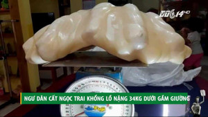 Ngư dân cất ngọc trai khổng lồ nặng 34kg, trị giá hàng trăm triệu đô... dưới gầm giường