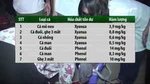 Phát hiện nhiều mẫu hải sản ở Hà Tĩnh nhiễm phenol, xyanua