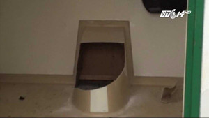 Chui xuống bồn cầu nhặt điện thoại, bị mắc kẹt phải cầu cứu lính cứu hỏa