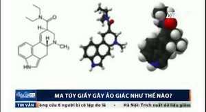 Ma túy giấy gây ảo giác đáng sợ thế nào?