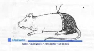 Cười vỡ bụng những nghiên cứu khoa học hài hước nhất năm 2016