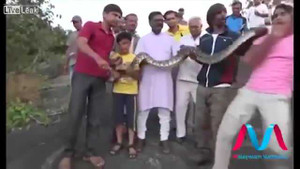 Ôm rắn 'khủng' chụp ảnh selfie và cái kết đắng