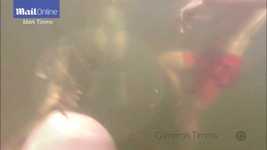 Hoảng hồn clip cá sấu lén bơi theo gia đình, cắn bụng bé trai 14 tuổi