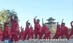 Red Boxing – võ thuật Kungfu cổ đại 2.000 năm tuổi