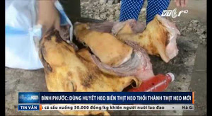 Bắt quả tang gian thương dùng huyết lợn 'phù phép' thịt lợn thối thành thịt tươi mới