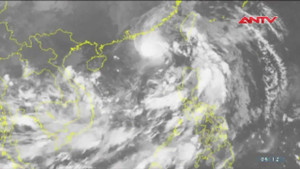 Tin bão khẩn: Bão số 6 áp sát Biển Đông