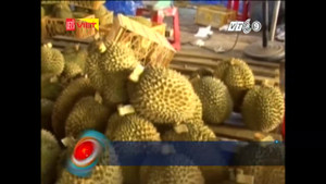 Bắt quả tang cơ sở nhúng sầu riêng vào hóa chất cho chín đẹp