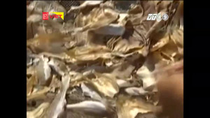 Rùng mình lời thú nhận của chủ cơ sở sản xuất cá khô 'ngậm' thuốc trừ sâu