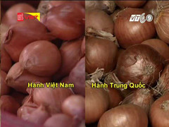 Phân biệt hành khô Việt Nam và Trung Quốc