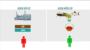 Nước mắm nhiễm arsen hữu cơ: Chuyên gia khẳng định không độc