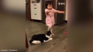 Mèo láu cá ngáng chân khiến em bé ngã