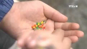 Hạt nhựa nở độc hại của Trung Quốc tái xuất trước cổng trường học