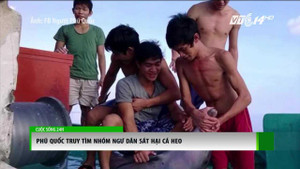 Truy tìm nhóm thanh niên sát hại cá heo ở Phú Quốc