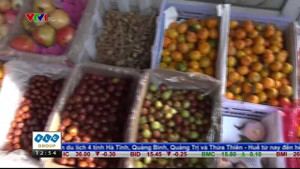 Vì sao trái cây Trung Quốc luôn có giá rẻ?