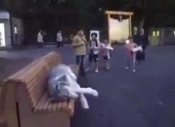 Cười vỡ bụng với bộ dạng thất thểu 'chán đời' của chú chó trong công viên