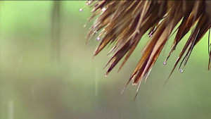 Miền Bắc sắp rét đậm dài ngày, nhiệt độ giảm còn 10 độ C