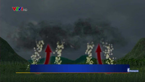 Kỳ lạ 'bão hen suyễn' gây chết người ở Australia