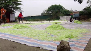 Phát hiện hàng loạt nguyên liệu bánh kẹo Tết bẩn ở TP.HCM