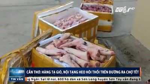 Clip: Bắt quả tang hàng tạ giò, nội tạng lợn hôi thối đang trên đường ra chợ Tết