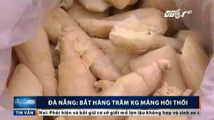 Clip: Bắt giữ hàng trăm kg măng thối trên đường tuồn ra chợ