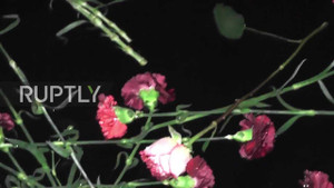 Máy bay Nga rơi: Dân thả hoa xuống Biển Đen tưởng niệm nạn nhân