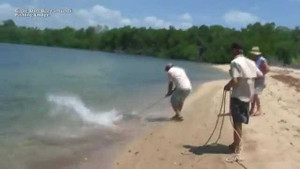 Cá sấu đói cướp cá mập của ngư dân và cái kết đắng