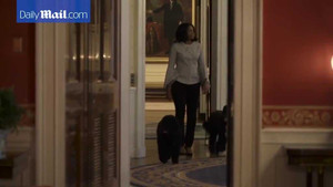 Bà Obama tung video cùng chó cưng đi dạo lần cuối trong Nhà Trắng