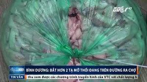 Bắt hơn 2 tạ mỡ lợn đang phân hủy, bốc mùi hôi thối trên đường tuồn ra chợ