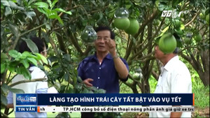 'Thâm nhập' làng tạo hình trái cây Tết đẹp, độc, lạ