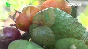 Cách bày và ý nghĩa của mâm ngũ quả Nam Bộ ngày Tết