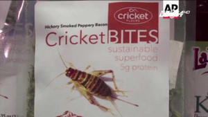 Người Mỹ rộ trào lưu ăn dế