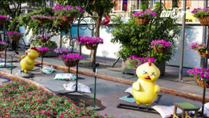 Biểu cảm hờn dỗi của chú gà ở đường hoa Nguyễn Huệ gây tranh cãi