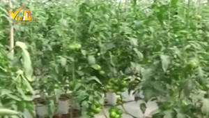 Nâng cao năng suất chất lượng nhờ ứng dụng khoa học công nghệ