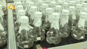 Công nghệ sinh học đang ngày càng giúp cho doanh nghiệp nâng cao năng suất chất lượng