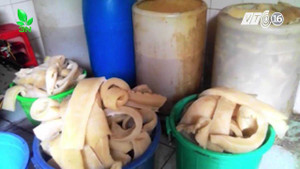 Clip: Bắt giữ 750kg bì lợn thối đang phân hủy suýt thành nem chua ở Hà Nam