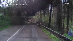 Clip: Cây cối đổ rạp hàng loạt như 'tận thế', ập xuống nóc ôtô