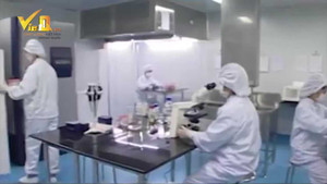 Muốn tăng năng suất doanh nghiệp cần tập trung áp dụng các công cụ hỗ trợ