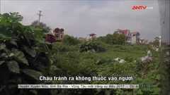 Sợ hãi không dám ăn rau muống sau khi xem phóng sự này