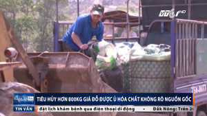 Huế: Tiêu hủy gần 1 tấn giá đỗ ủ hóa chất