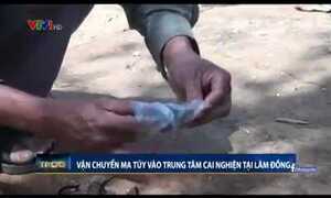 Lâm Đồng: Bắt kẻ vận chuyển ma túy vào trung tâm cai nghiện