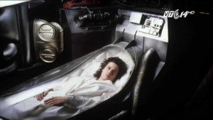 Ngủ đông - Phương pháp điều trị ung thư cho tương lai