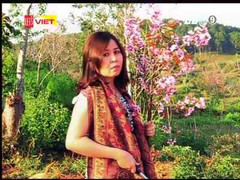 Vụ nữ phó giám đốc sở bị 'tố' bẻ hoa anh đào: Thông tin mới nhất