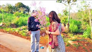 Mức phạt nào cho nữ phó giám đốc sở 'bẻ hoa anh đào chụp ảnh'?