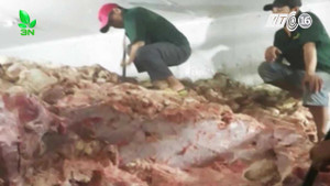 Hơn 30 tấn thịt lợn không nguồn gốc suýt 'lên mâm'