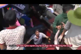 Ngư dân Quảng Trị trúng mẻ cá bè vàng 150 tấn, trị giá 5 tỷ đồng