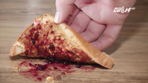 Phát hiện mới: Thức ăn rơi xuống sàn vẫn an toàn trong 5 giây