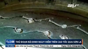 Clip: 'Đinh tặc' ở Sơn La rải xốp gắn đinh nhọn, bẫy ôtô cực nguy hiểm