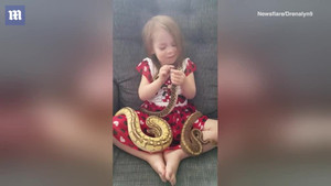 Bé gái 3 tuổi âu yếm vuốt ve đàn trăn