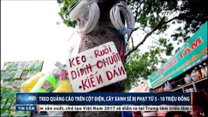 Treo quảng cáo trên cột điện, cây xanh bị phạt bao nhiêu?